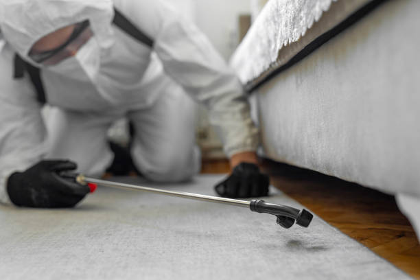 Professional Bed Bug Control technician working in Chubbuck, ID