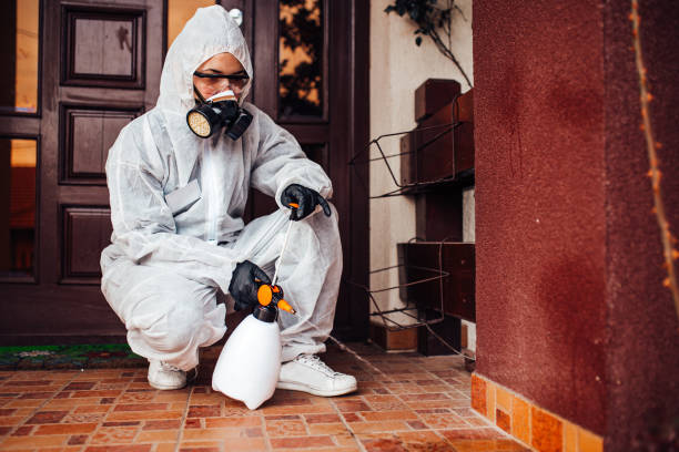 Reliable Bed Bug Control contractor in Chubbuck, ID by Nex Pest Control
